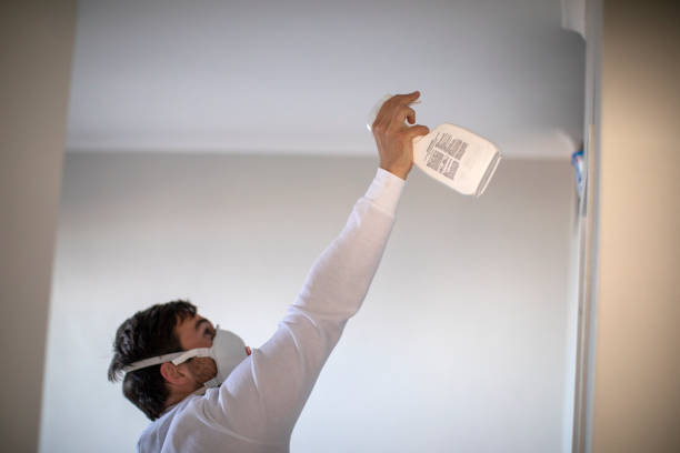 Best Insurance-Related Mold Remediation in Mantua, VA